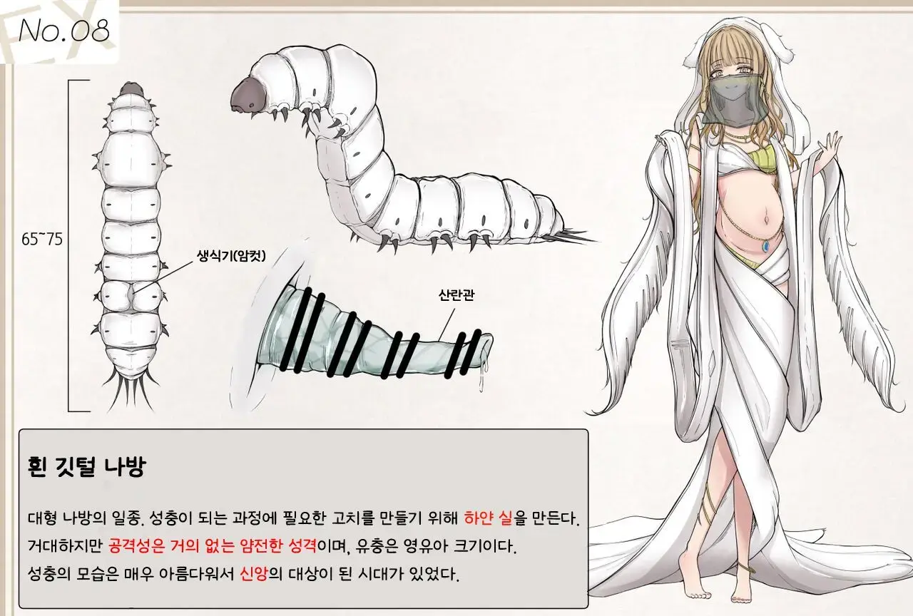 Insect Research Report EX